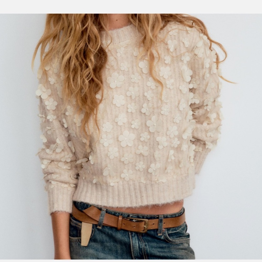 Zara like new Cream Floral Appliqué wool blend Knit Sweater size small